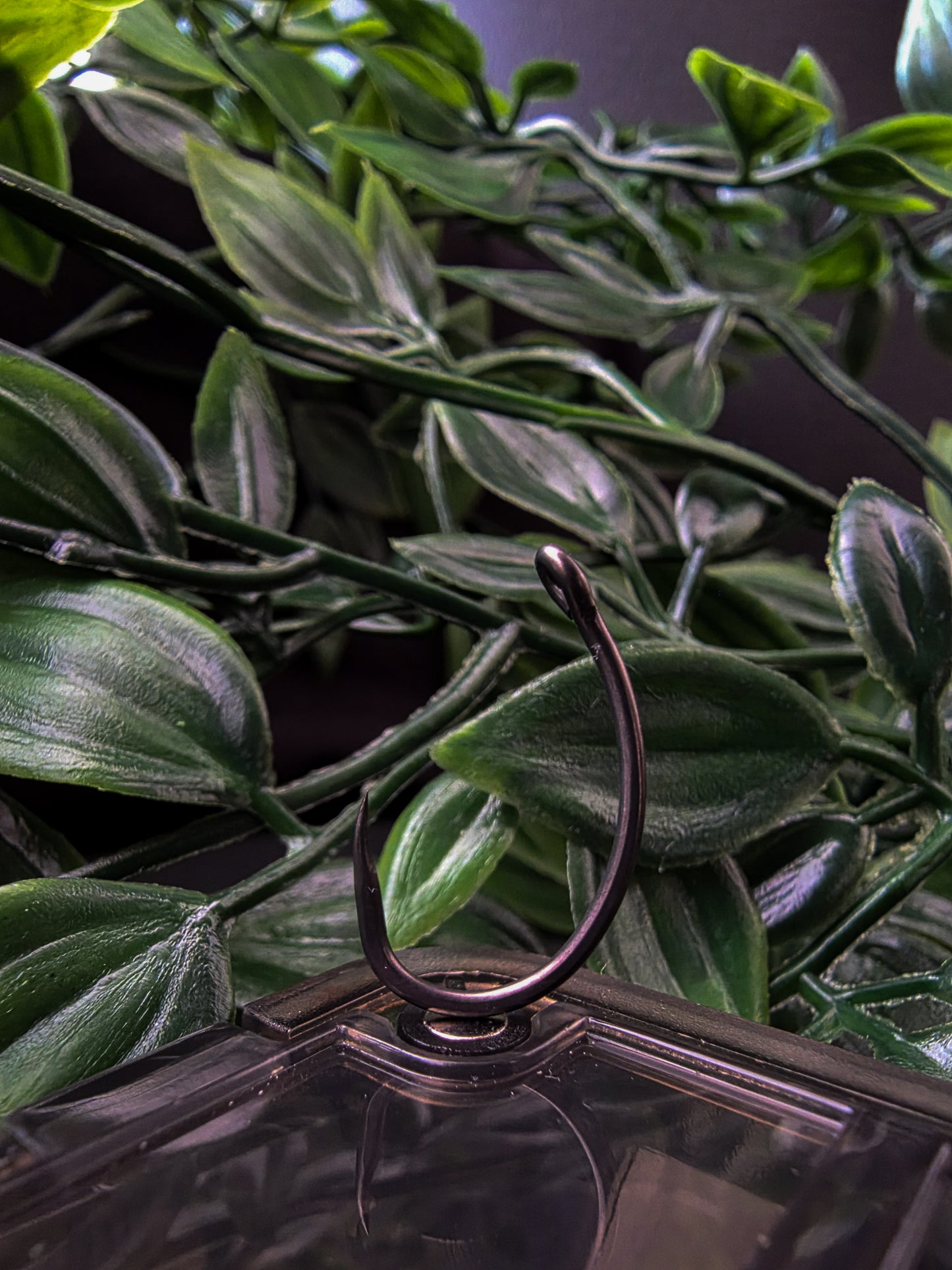 Activ' Krank sans ardillon